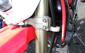 HONDA XR250 MOTARD 2009 MD30