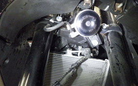 YAMAHA YZF-R25 A 1999 RG43J