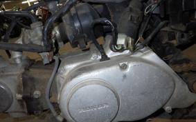 HONDA GORILLA Z50J