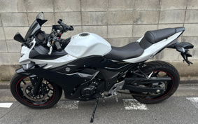 SUZUKI GSX250 R DN11A
