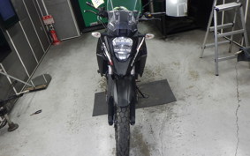 SUZUKI Vｽﾄﾛｰﾑ250SX 2013 EL11L