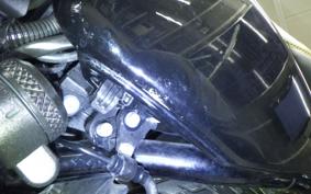 HARLEY XL1200V 2013