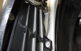 TRIUMPH TF250-E 2014