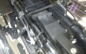 HARLEY XL1200NS 2021