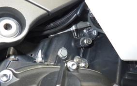 KAWASAKI ZX 1400 NINJA R A 2020