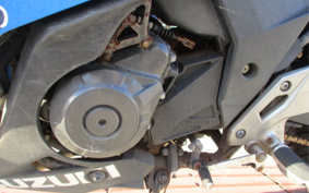 SUZUKI GSX250 R DN11A