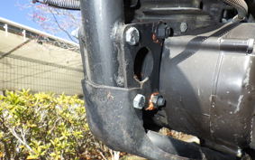 HONDA ELSINORE 250 MT250