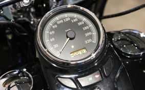 HARLEY FLS 2013 JR5