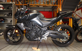 YAMAHA MT-25 RG74J