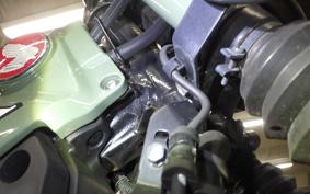 HONDA CT125 HUNTER CUB 2023 JA55