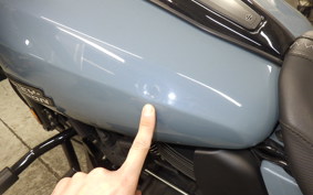 HARLEY FLHX1920 2024