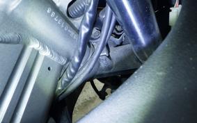 KAWASAKI ZZ-R250 2003 EX250H