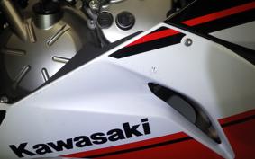 KAWASAKI NINJA ZX-6R A 2022 ZX636G