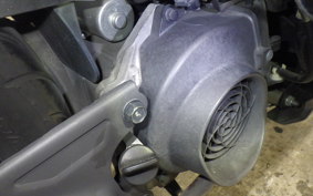 HONDA ZOOMER-X 2025 JF52