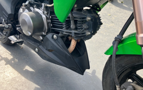 KAWASAKI Z125 PRO BR125H