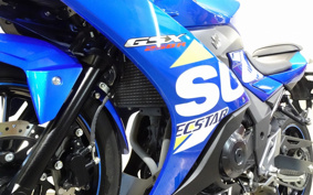 SUZUKI GSX250 R DN11A