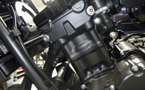 HONDA REBEL 250 A MC49