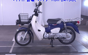 OTHER C110PU LOW 3