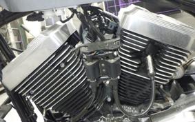 OTHER +UNREGISTERED MODEL by BDS250 2010