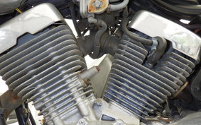 YAMAHA VIRAGO 250 2024 3DM