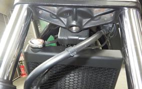 HONDA REBEL 250 A 2010 MC49