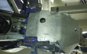 YAMAHA TT250R RAID 4GY