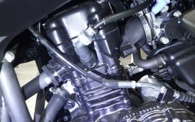 SUZUKI Vｽﾄﾛｰﾑ250A 2023