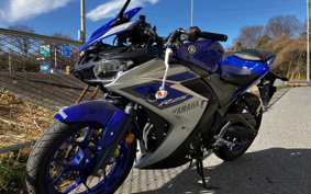 YAMAHA YZF-R25 RG10J