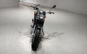 YAMAHA TW225 DG09J