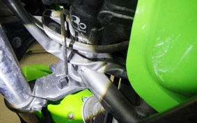 KAWASAKI NINJA 250 2022 EX250L