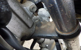 YAMAHA FZR250 Gen.2 R 3LN