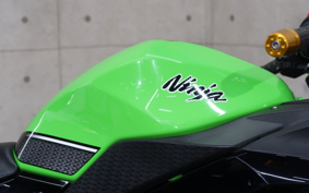 KAWASAKI NINJA 250 EX250L
