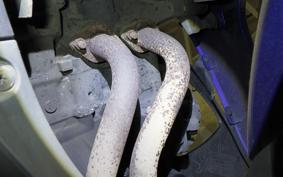 YAMAHA YZF-R3 2017 RH07J