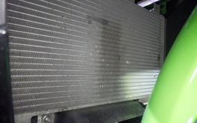 KAWASAKI NINJA 250 2 2024 EX250P
