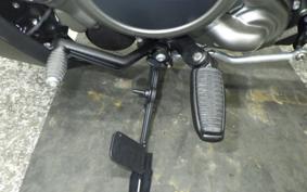 HARLEY RH975S 2026