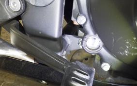 KAWASAKI NINJA 250 EX250L