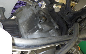 HONDA C50 SUPER CUB 2024 C50
