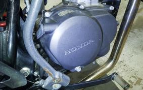 HONDA APE 50 2024 AC18