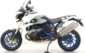 BMW HP2 MEGAMOTO 2007 0310