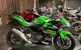 KAWASAKI NINJA 250 KRT ED EX250P