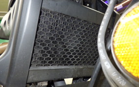 HONDA REBEL 250 S 2008 MC49