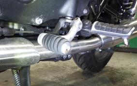 TRIUMPH SPEED TWIN 900 2024
