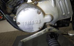 YAMAHA GT50 2019 FT1