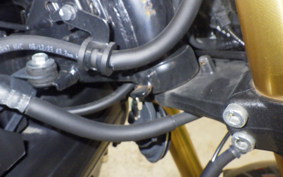 HONDA GROM 2024 JC92