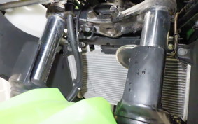 KAWASAKI NINJA 250 ABS 2017 EX250L