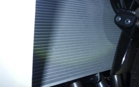 KAWASAKI NINJA 1100SX 2025 ZXT10H