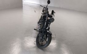 YAMAHA VIRAGO 250 3DM