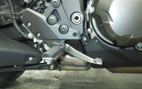 KAWASAKI VERSYS 1000 SE 2021