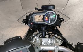 TRIUMPH TRIUMPH TIGER 800 TRE15B