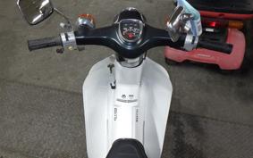 HONDA C50 SUPER CUB 2021 C50